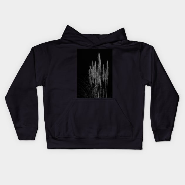 Vertical pampas grass on black background. Kids Hoodie by brians101